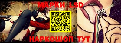 гидропоника Гусев